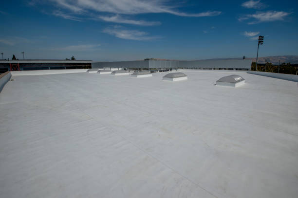 Professional Roofing Services in Laupahoehoe, HI